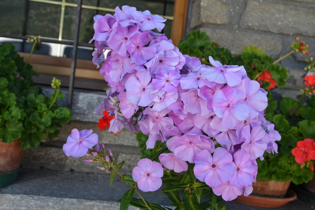B&B Les Fleurs Gignod Экстерьер фото