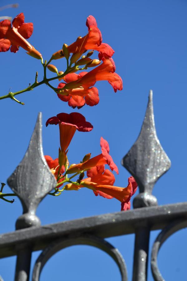B&B Les Fleurs Gignod Номер фото